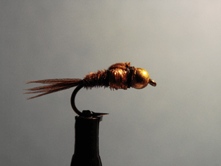 Bead Head Copper Pheasant Tail (14)