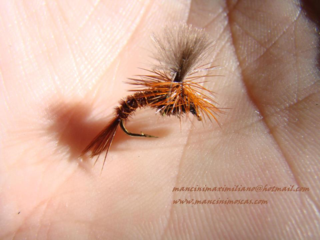 CDC Doctor Pheasant Tail