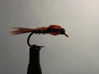 Copper Pheasant Tail (14)