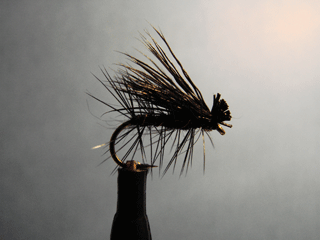 Elk Hair Caddis Black (14)