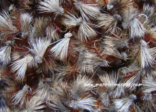 Elk Hair Caddis Brown (10-18)