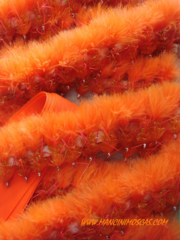 Mancini Woolly Bugger Naranja (Krystal, Rubbers, Ojos pintados)