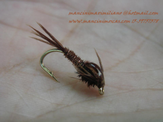 Pheasant Tail