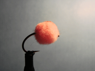 Pink/Red Egg Salmon (10)